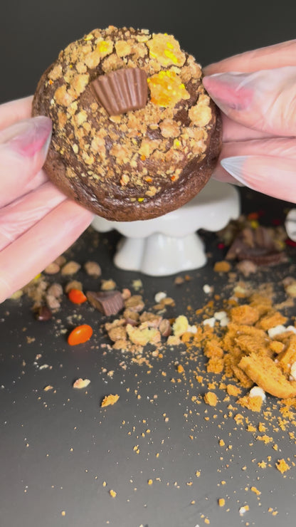 Autumn Alchemy Cookie Collection